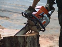 Maintaining a chainsaw can keep it running good for decades.