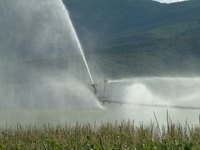 The Hunter Pro C can control multiple irrigation stations.