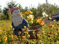 Travelocity.com is the home of the Traveling Gnome.