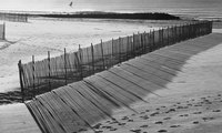 Sand fences may be made from a variety of materials, but wooden fences remain the most popular.