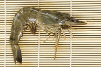 A raw shrimp.
