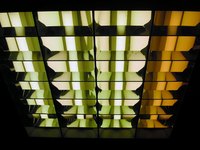 Fluorescent Lights