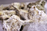 Oysters come in a range of different colors.