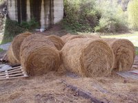 Hay feeders reduce waste.