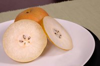 Round, crisp Asian pears are ready to eat when harvested.