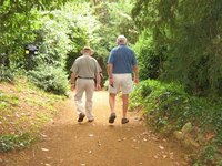 Pension actuaries analyze, plan and devise pensions.