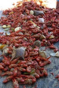Crawfish boiled and spiced for a simple supper.
