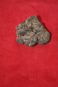 Truffles are a fragrant ingredient in many gourmet recipes.