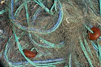 Nylon fiber makes a strong, resiliant string.