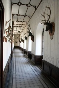 Impress your friends with your homemade deer mount.