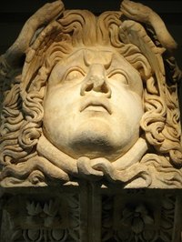 The stories of Medusa are varied, but all agree she had snakes for hair.