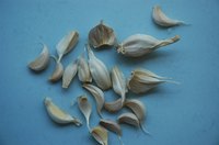 Fresh garlic is vital in the fight against parasites.
