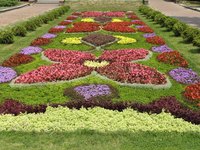 Topsoil is the key to a beautiful garden.