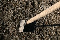 Organic fertilizer helps make soil easier to work and better for growing.