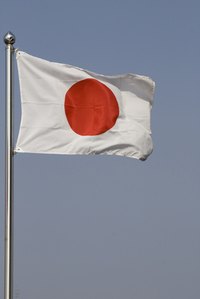 Renew your Japanese passport every 10 years.