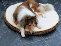 Peppermint oil can help keep fleas off your pets and out of your home.