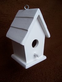 Build a birdhouse with basic tools.