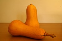 Spaghetti squash can be stored in the freezer to increase its shelf life.