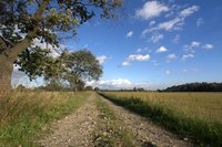 Any type of soil contains naturally occurring radon