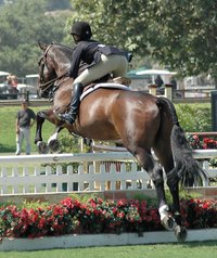 Grids encourage correct jumping technique in both horse and rider.