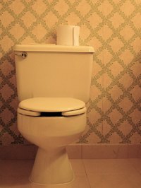 A typical tank-style toilet contains a flush valve and a fill valve.