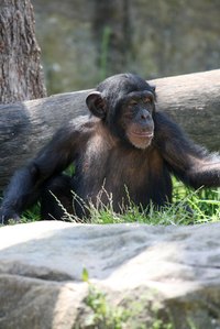 Zoologists must truly love animals to fully appreciate their jobs.