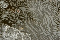 Detergent's special properties suspend oil in solution.
