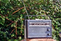 The FCC regulates all radio frequencies in the U.S.