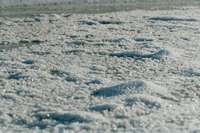 Rock salt and urea are two popular treatments for icy sidewalks and roads.