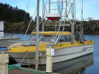 Remove boat carpet glue with acetone.
