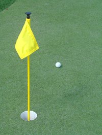 Spray moss killer on artificial turf to kill moss growth.