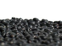 Black beans and rice are a good compliment to a variety of entrees.