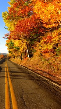 Take off down a country road in Maine and you will arrive two days later in Tennessee.