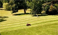Riding mowers are useful tools when managing a large lawn.