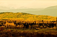 Much of the geologic formation underlying Alberta, Canada contains lucrative oil sands.