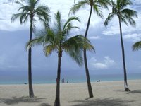 It pays off to scout out a secluded beach before you leave on your Florida vacation in July.