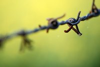 Do not electrify barbed wire because it could injure animals.