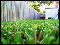 Changing the blade on your Yard-Man mower will improve your lawn's looks.