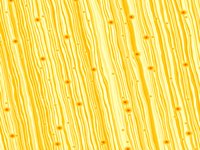 AC plywood is both soft and smooth.