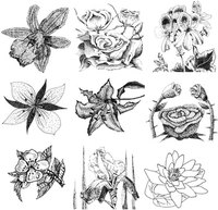 These flowers can be broken down into easy-to-draw shapes.