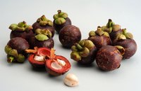 Persimmon fruit trees grow all over the world.