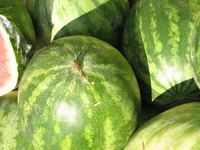 Watermelons are one vine plant that grow well above black tarps.