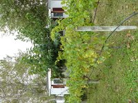 Mobile home parks may have rules regarding the sale of mobile homes in the park.