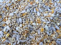 Large seeds outgrow small seeds.