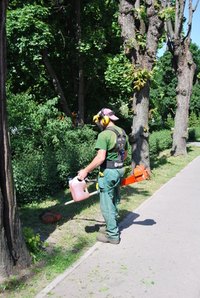 Clean the carburetor on your Poulan leaf blower for optimal performance.