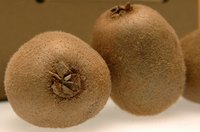 Consuming kiwis and other fruits can be beneficial to your health.