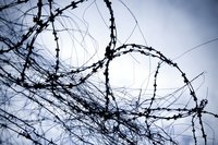 Even outside of jail, a felony conviction follows you.