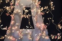 Rice lights are the smallest holiday lights available today.