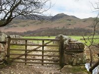 Livestock gates can be made in any size.