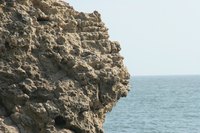 Check out beach and surfing activities at California's Pacific Coast.